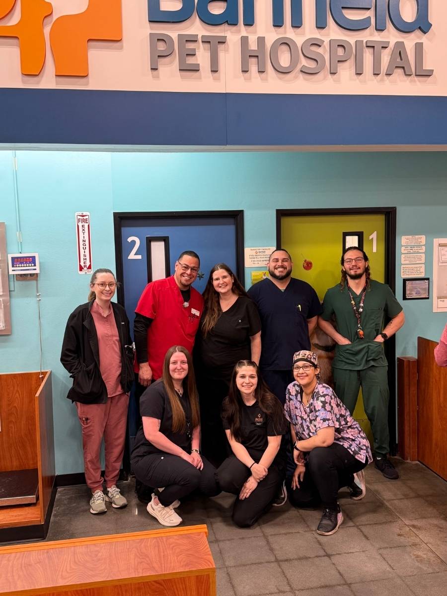 The Banfield Pet Hospital: Roswell Staff