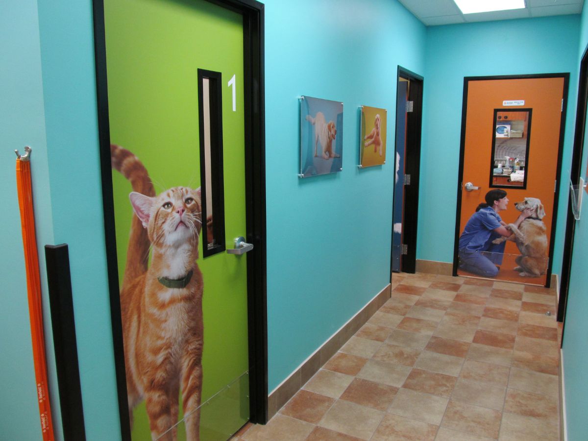 Exam room entrances in Banfield Pet Hospital - West Palm Beach