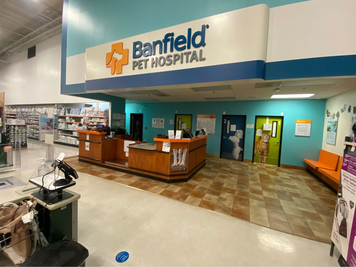 Banfield Pet Hospital: Jacksonville S waiting area