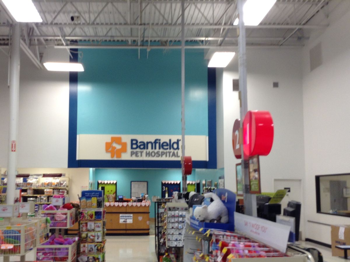 Inside the Banfield Aventura PetSmart walking to the Banfield desk