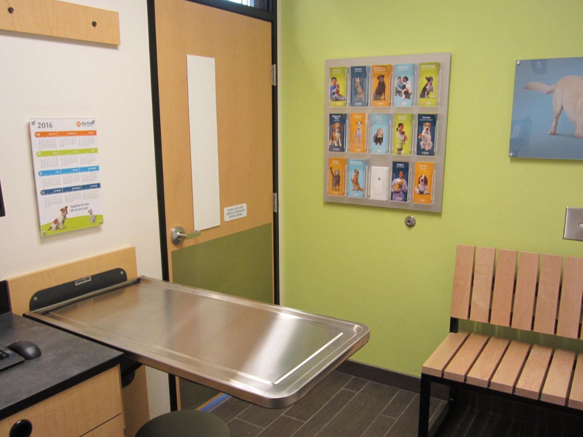 Inside an exam room of the Banfield Miami Plaza Alegre hospital
