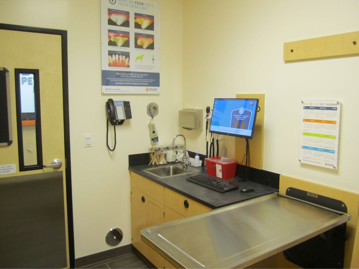 The exam room and desk for the Banfield Hialeah hospital