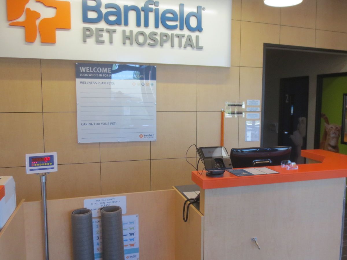 The Banfield Davie-Pine Island front desk