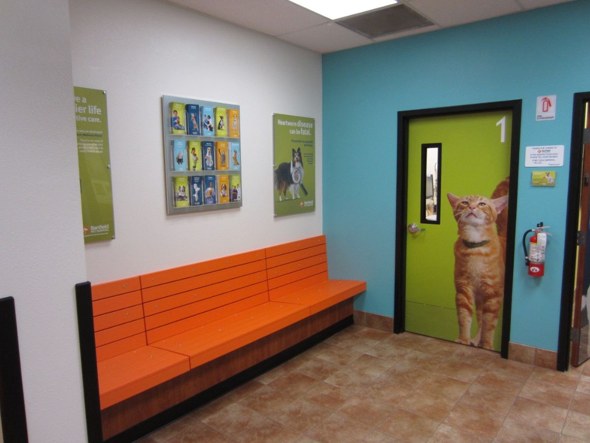 The Banfield Clearwater hospital waiting area and exam room