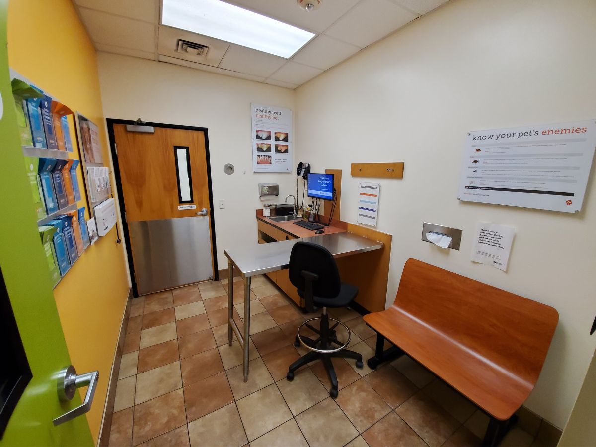 The Banfield Pet Hospital Panama City exam table