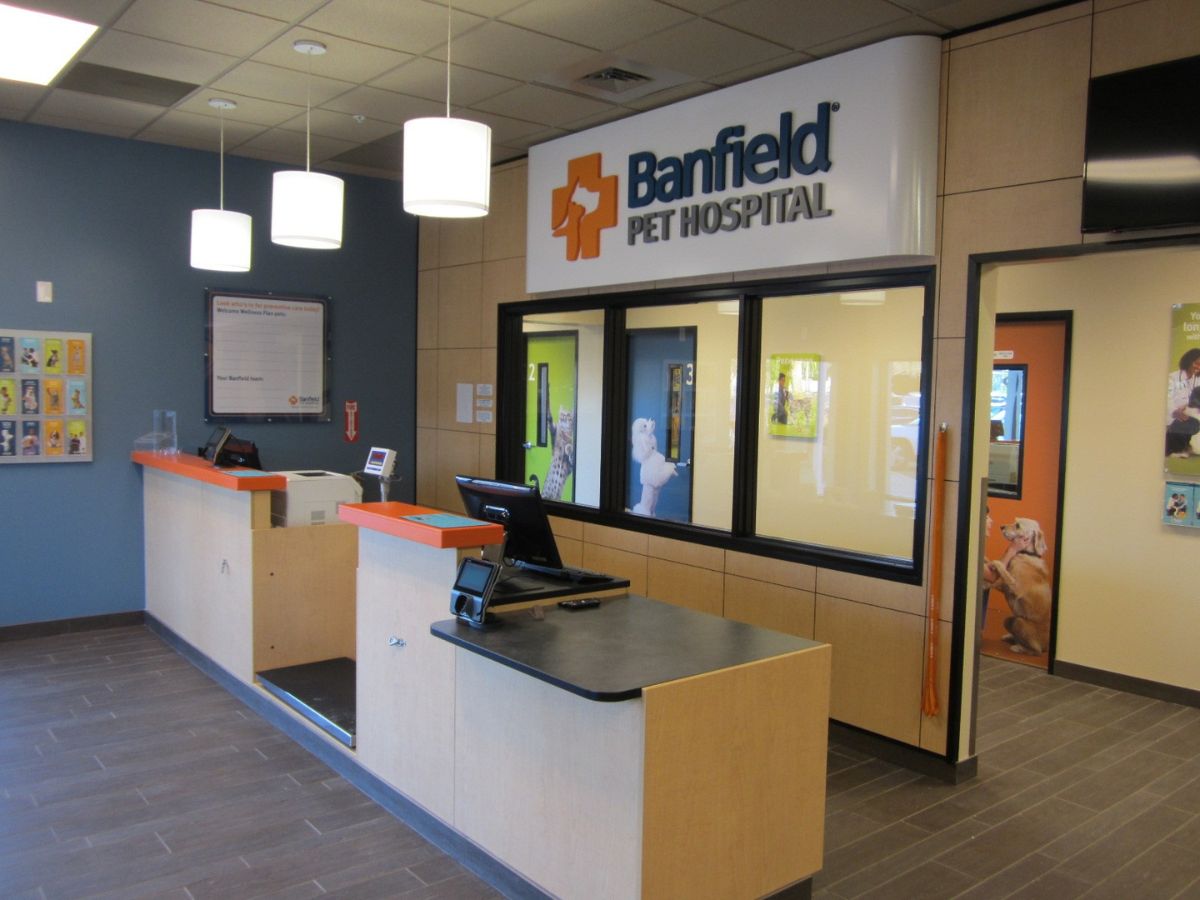 The Banfield Pet Hospital Carrollwood Village Center front desk
