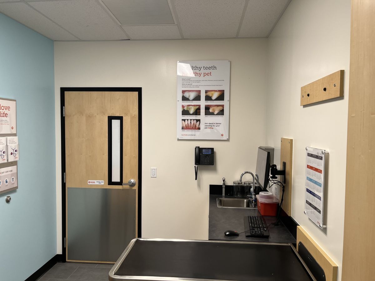 The Banfield Pet Hospital Double Branch exam table