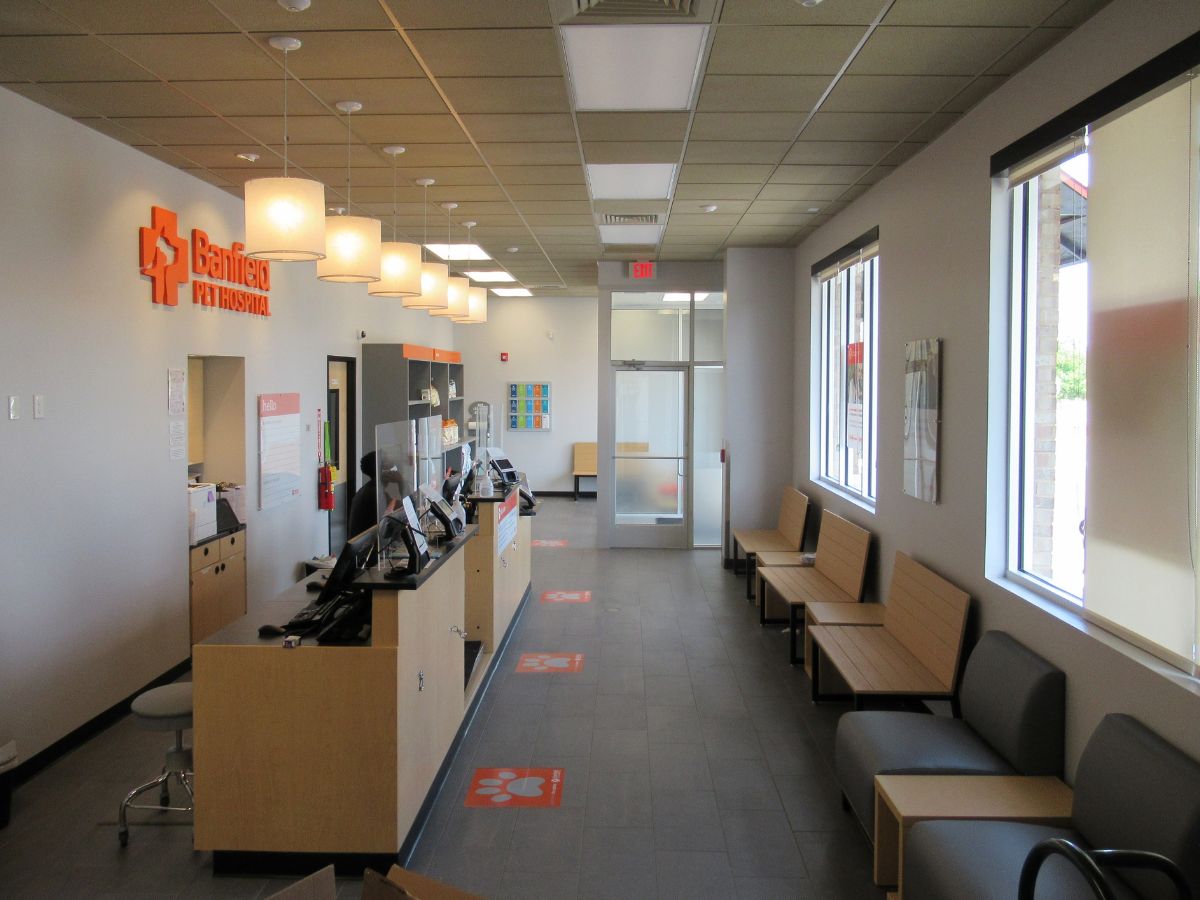 The Banfield Pet Hospital Tallahassee front desk and lobby