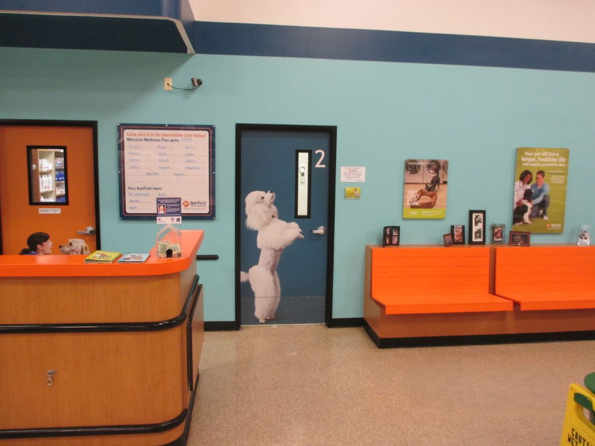The Banfield Pet Hospital: Flowery Branch front desk and lobby
