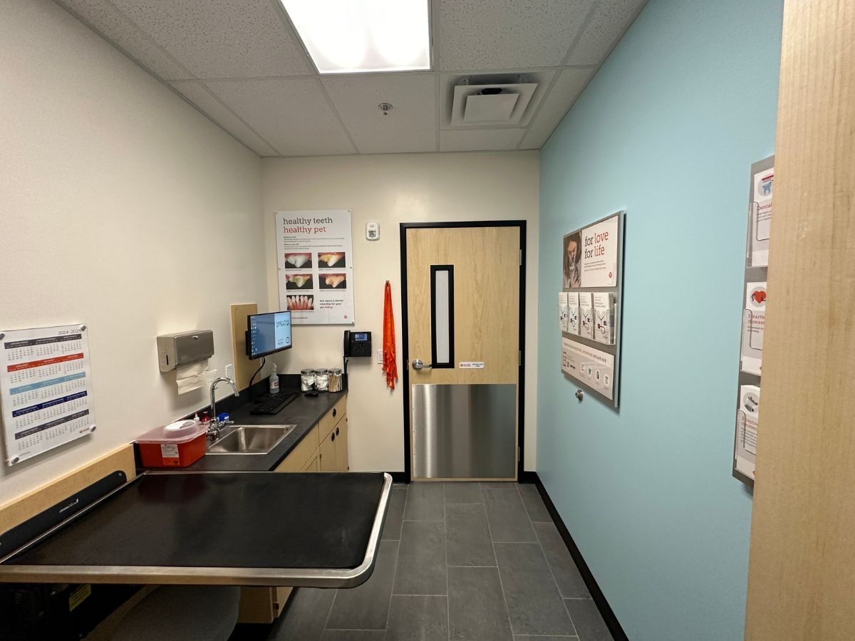 The Banfield Pet Hospital: Kennesaw Main exam room with table