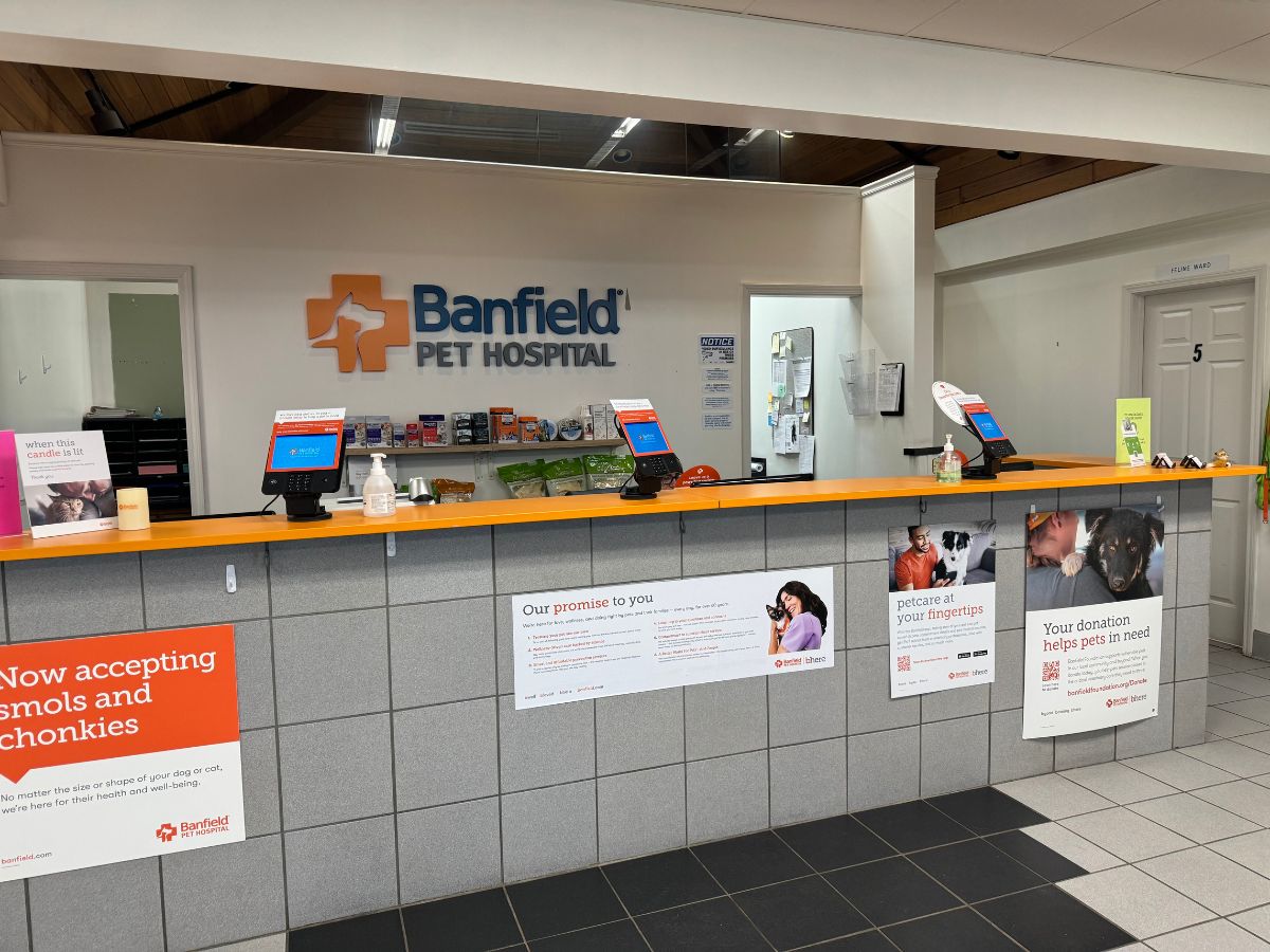 The Banfield Lansdowne hospital front desk and check-in
