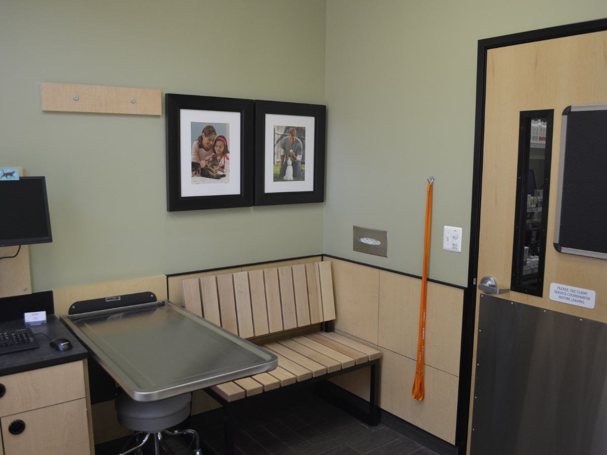A view of the Ellicott City Banfield hospital exam room