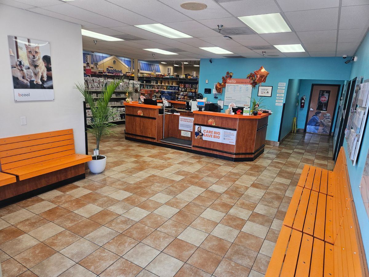 Banfield Pet Hospital - Bel Air front desk and lobby