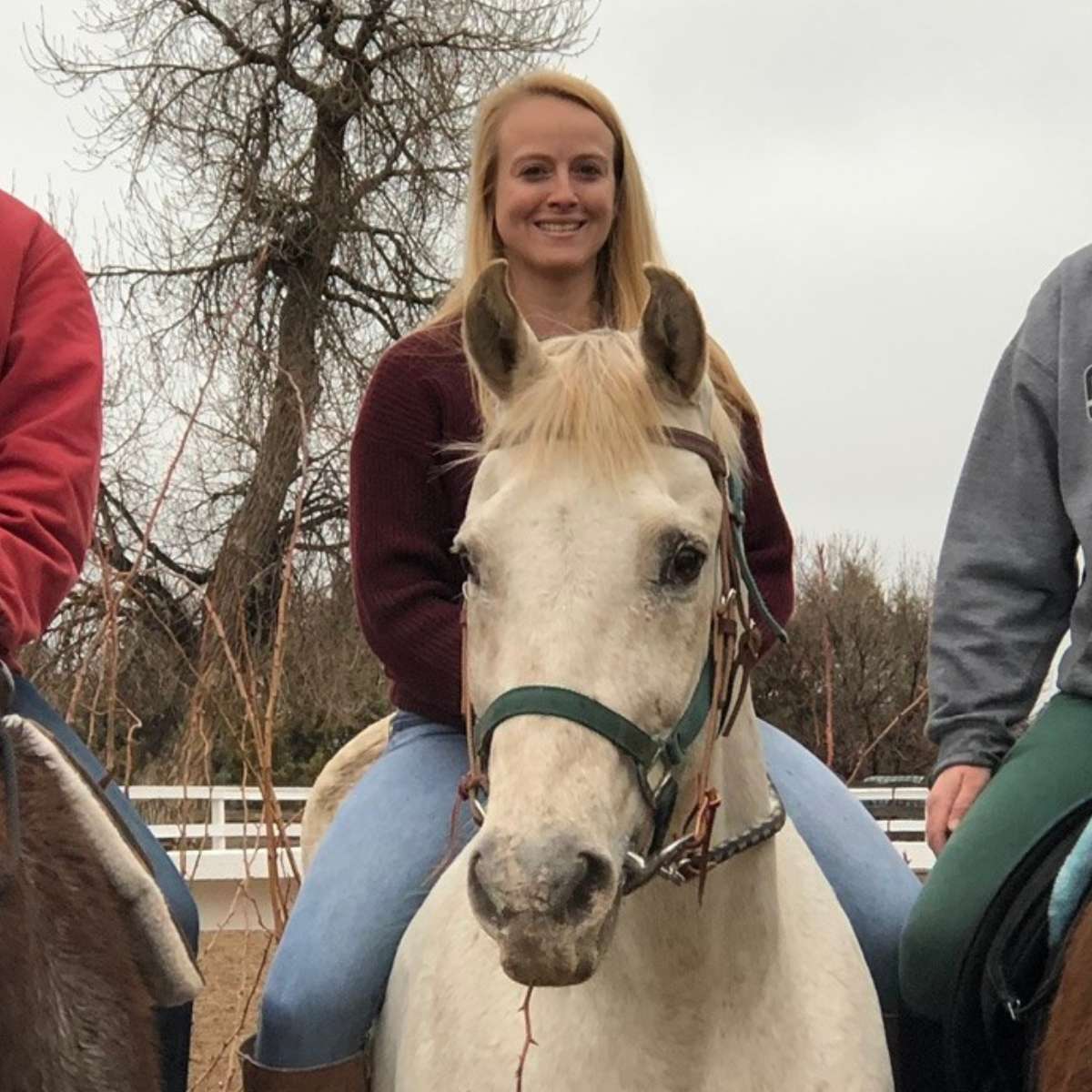 Profile picture of Jeanne Mescher, DVM, Veterinarian