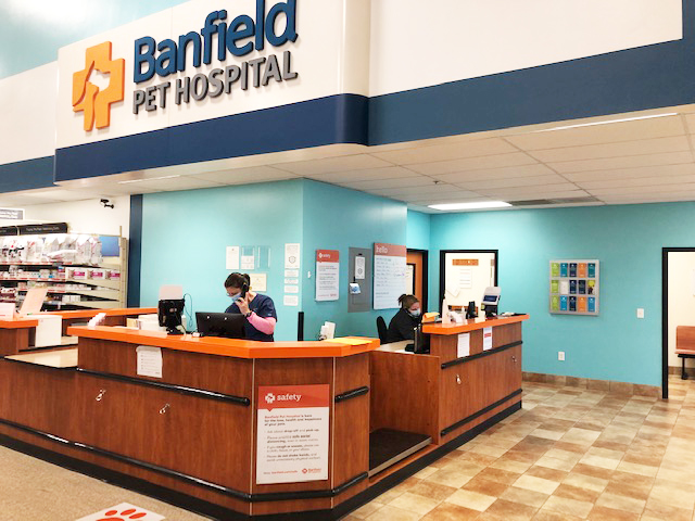 The front desk at the Hickory Banfield hospital