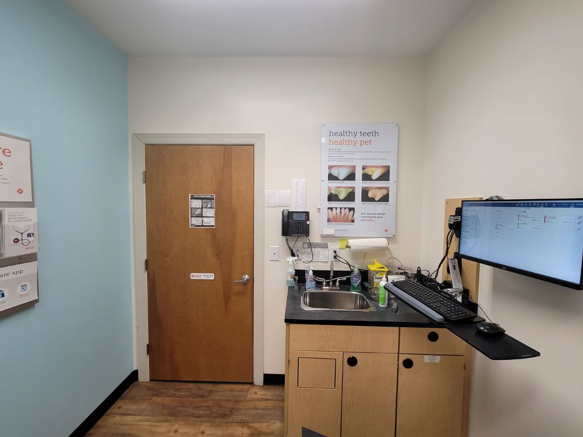 Inside an exam room at the Yadkin Park Banfield