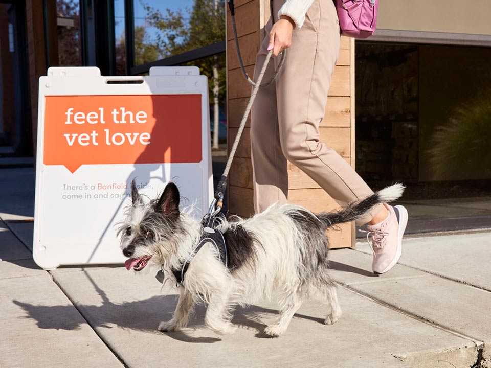 A woman walks her pet dog outside Banfield Pet Hospital