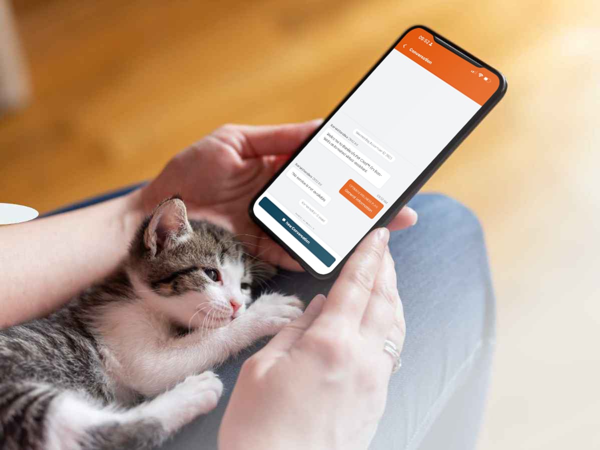 A gray and white kitten laying in their owner's lap with a phone