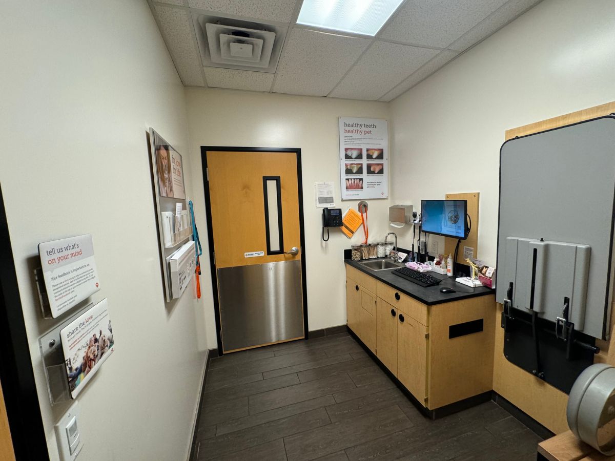 The Banfield Pet Hospital: Summerville S exam room with table