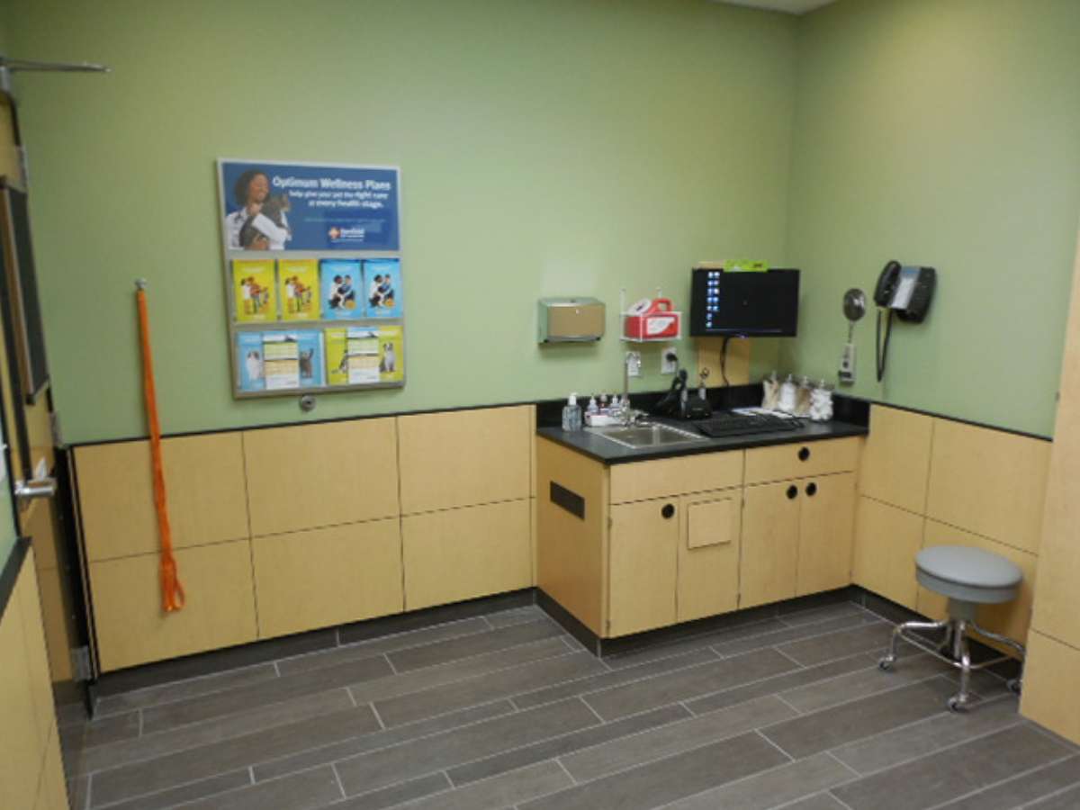 Inside an exam room at the Raleigh North Ridge Banfield hospital