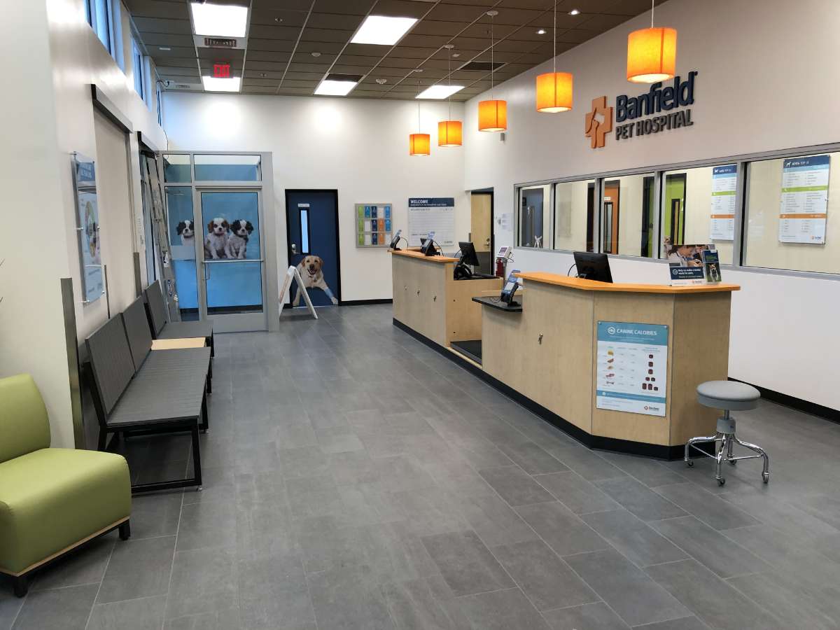 The front desk and the waiting area at the Raleigh Falls Pointe Banfield hospital