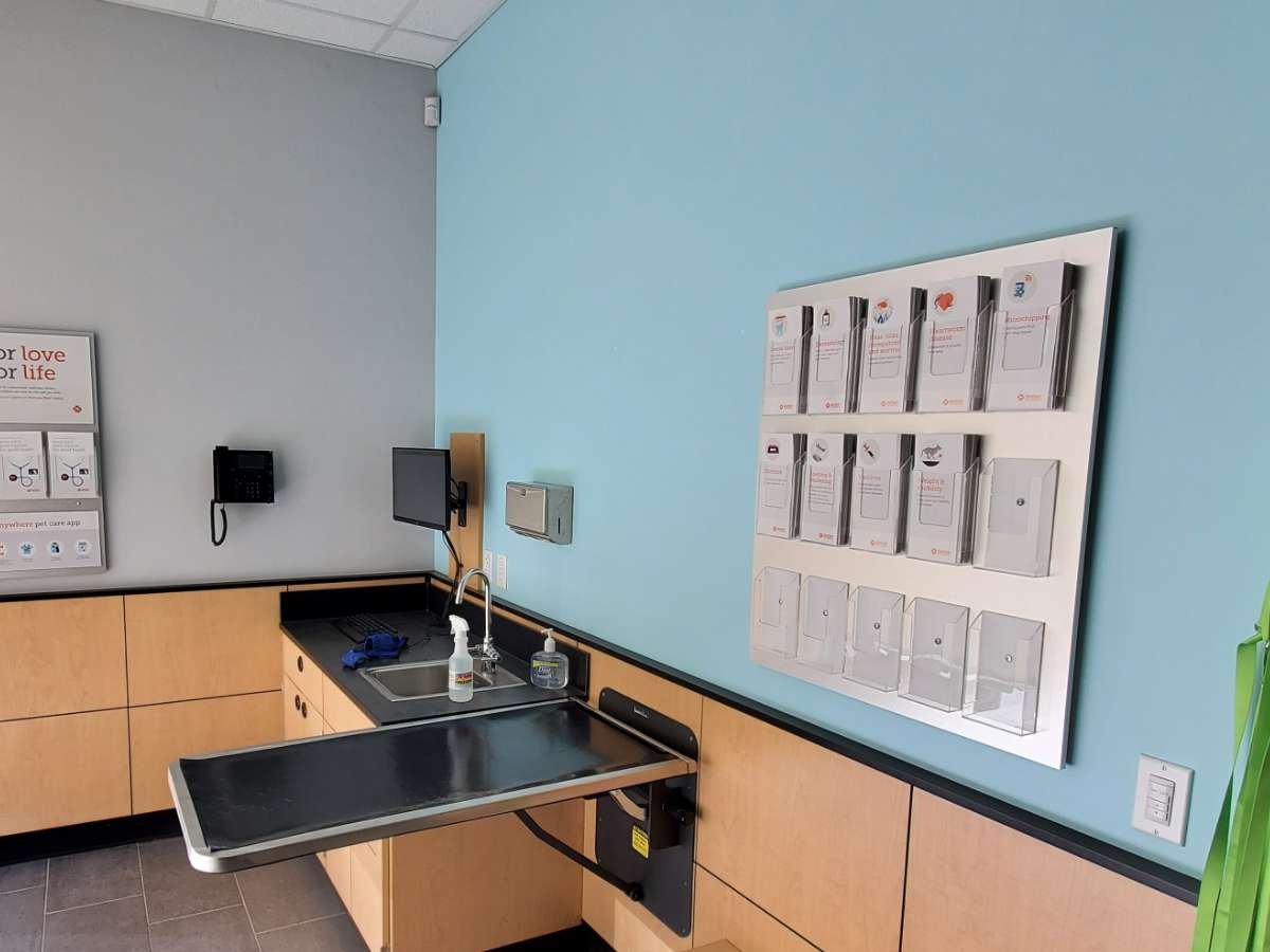 A view of the East Myrtle Beach Banfield exam room with the table