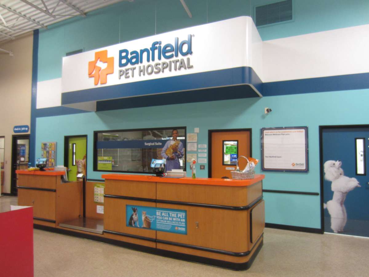The West Concord Banfield hospital front desk