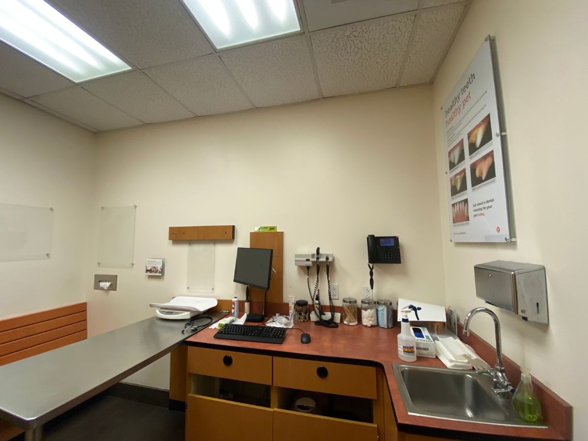 The Banfield Pet Hospital: Alcoa exam room with table
