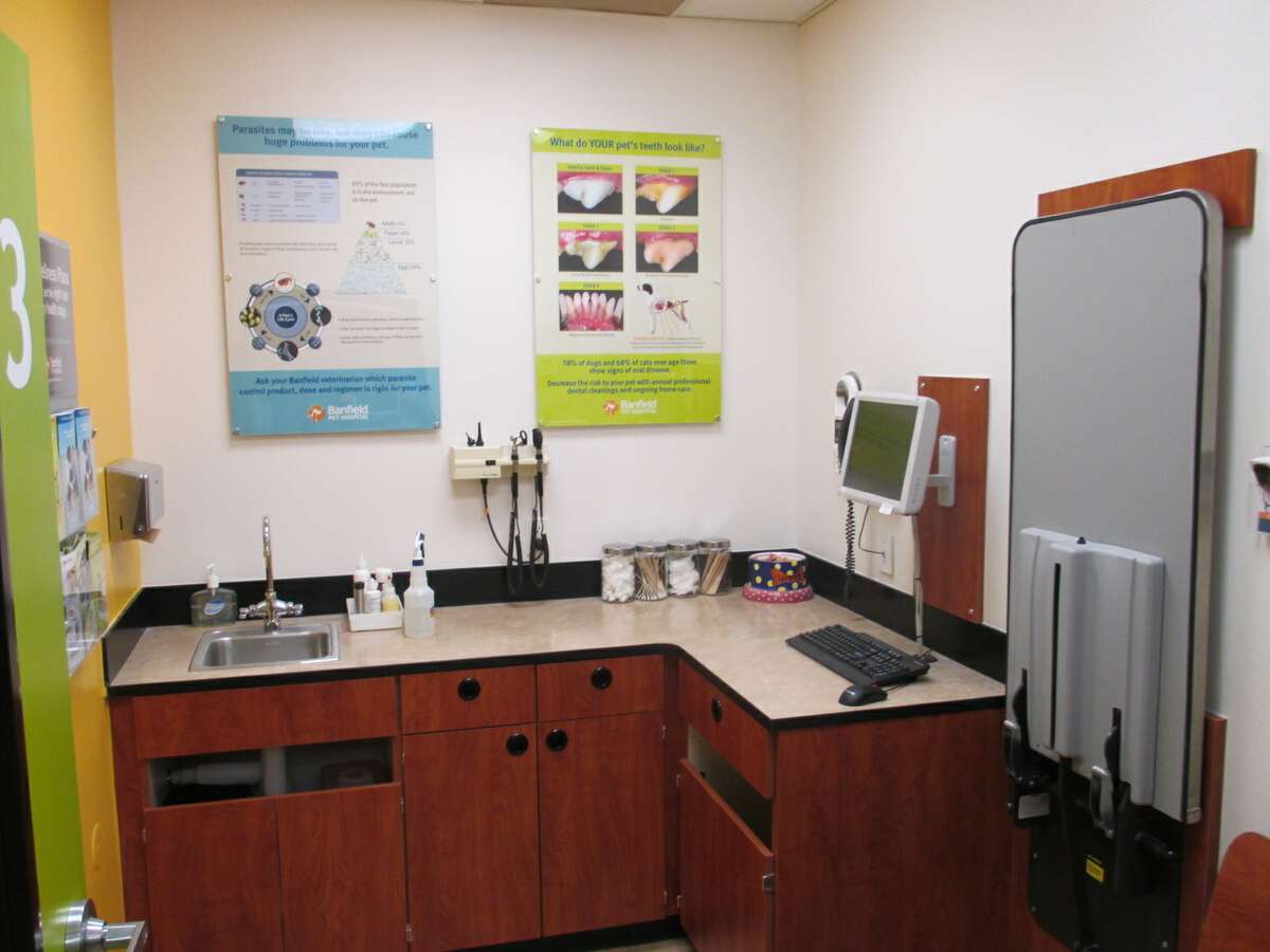 An exam room inside the Banfield - Little Rock hospital