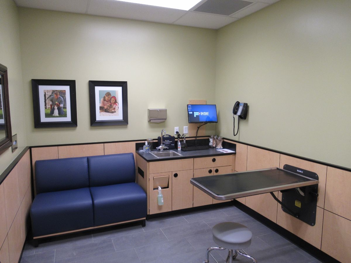 The exam room and table at the Fairfax Banfield hospital
