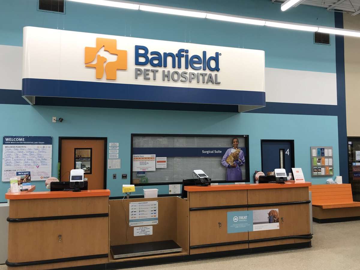 The Citadel Banfield front desk