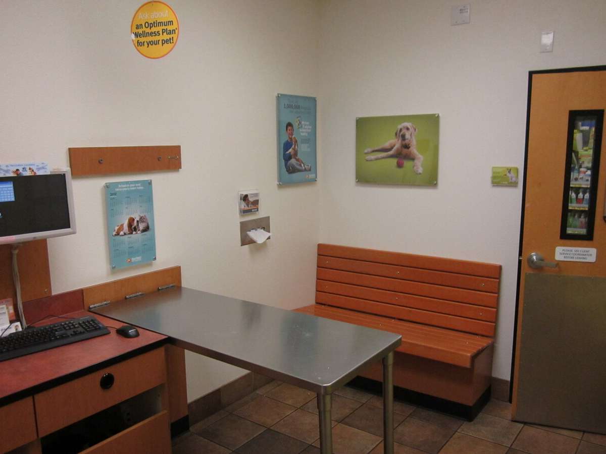 A view of the Folsom Banfield exam room and table