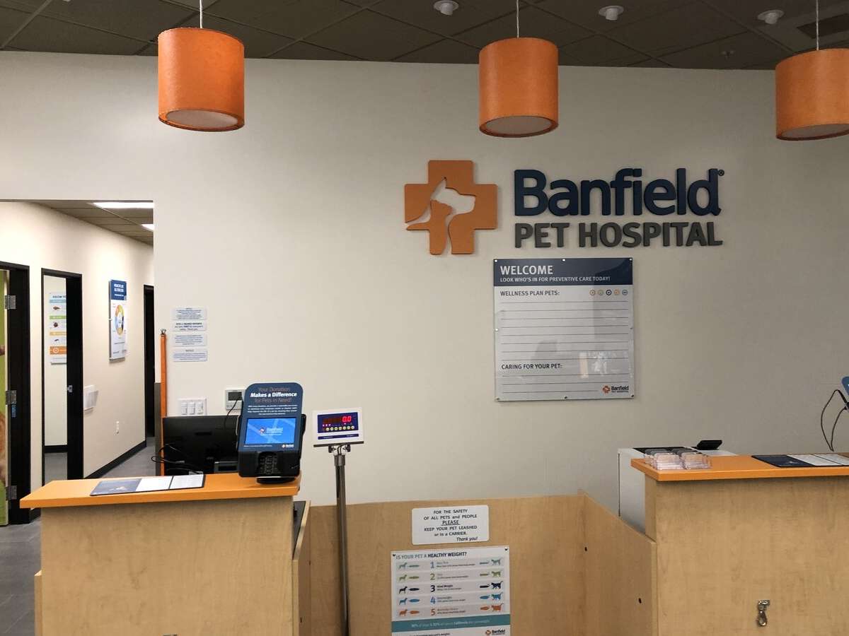 The front desk and check-in at the Banfield - Davis hospital