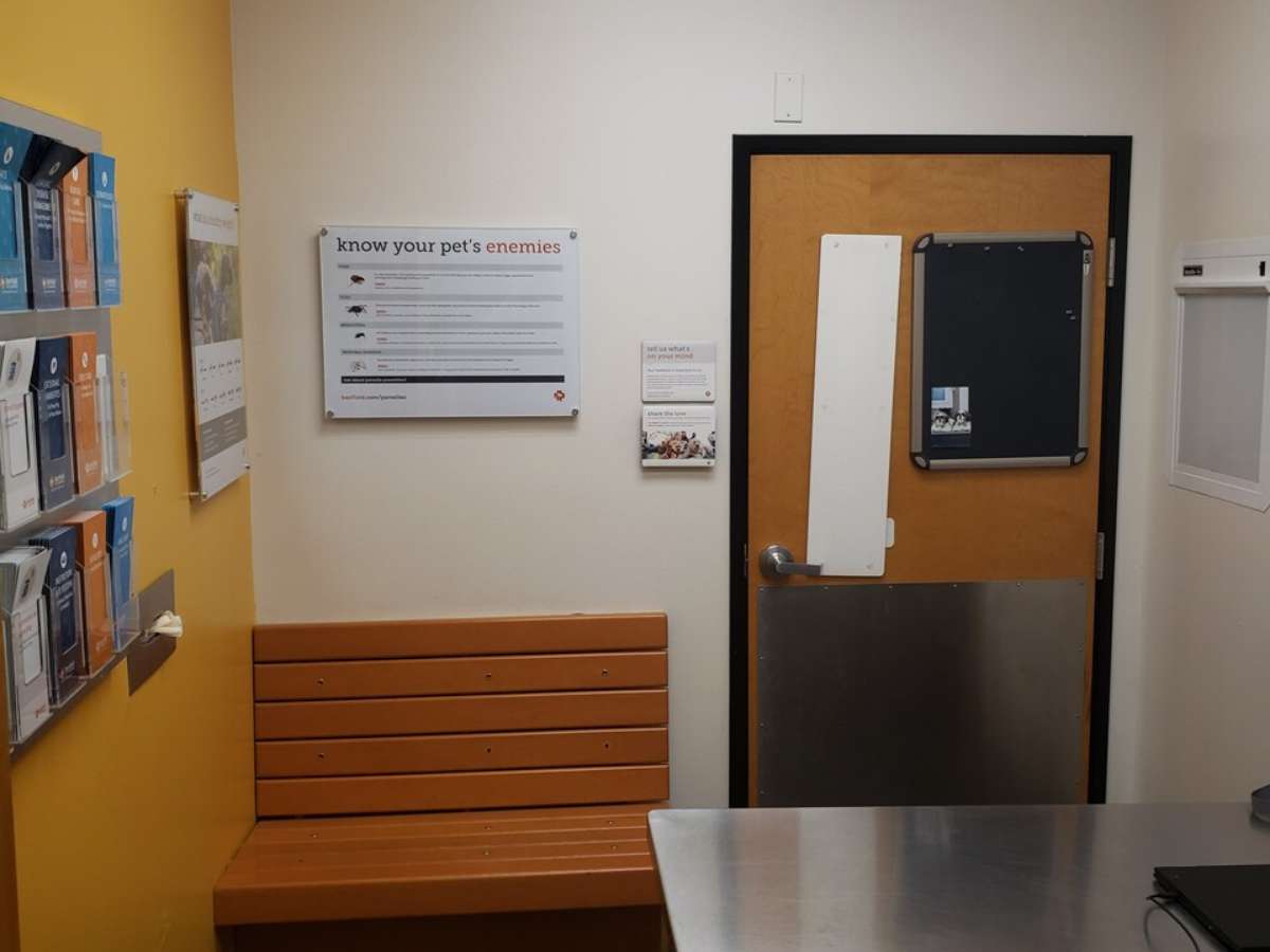 The Cedar Park N Banfield hospital exam room