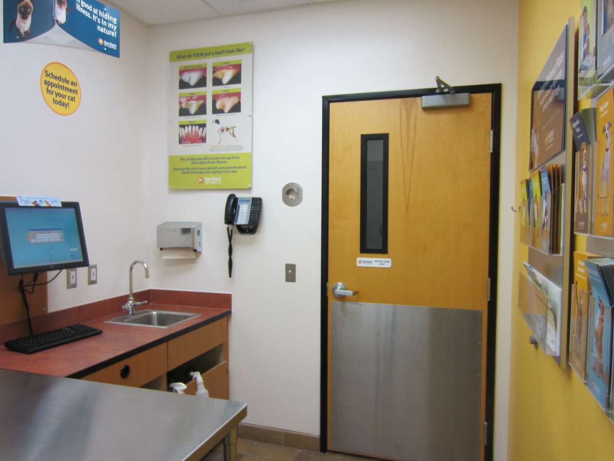 An alternate view of the New Braunfels Banfield hospital