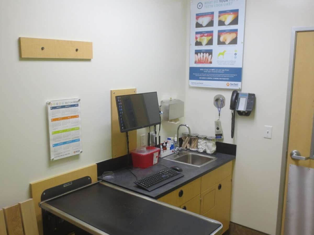 An alternate view of the South College Station Banfield exam room