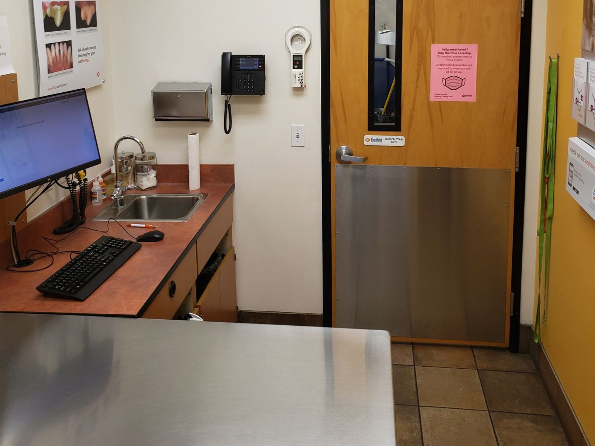 An alternate view of the Old Town Scottsdale Banfield exam room