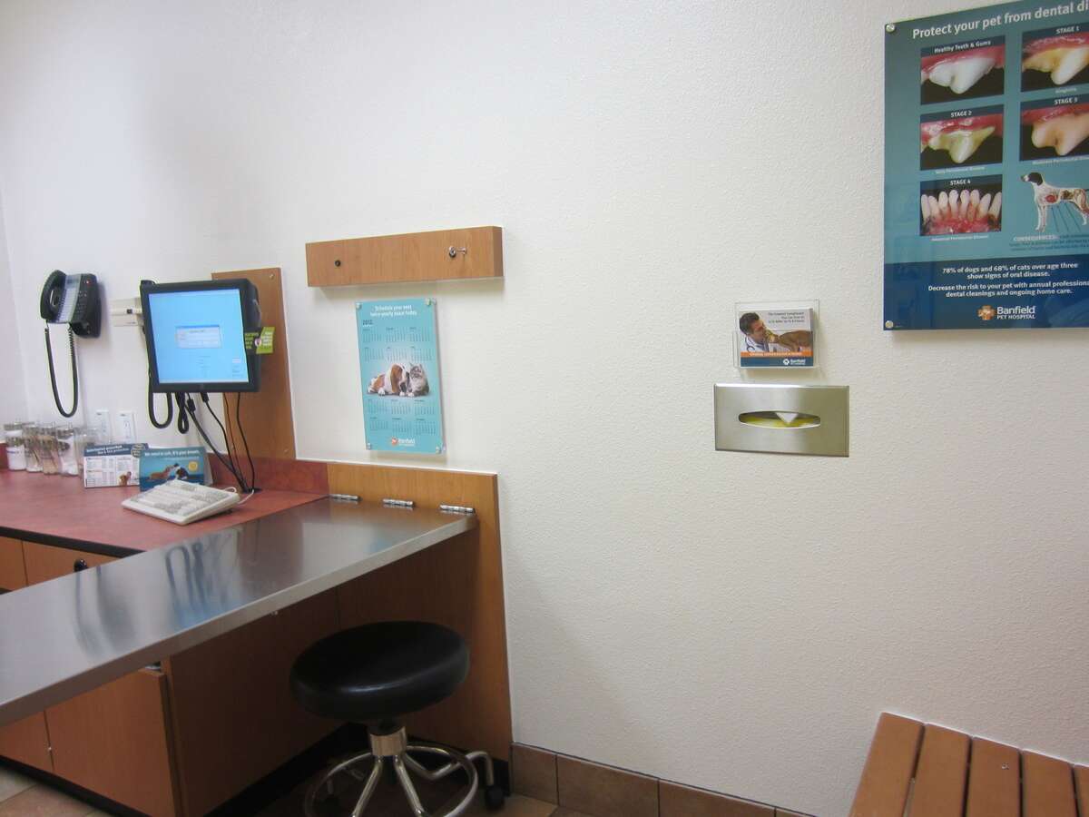 An alternate view of the Deer Valley Banfield exam room