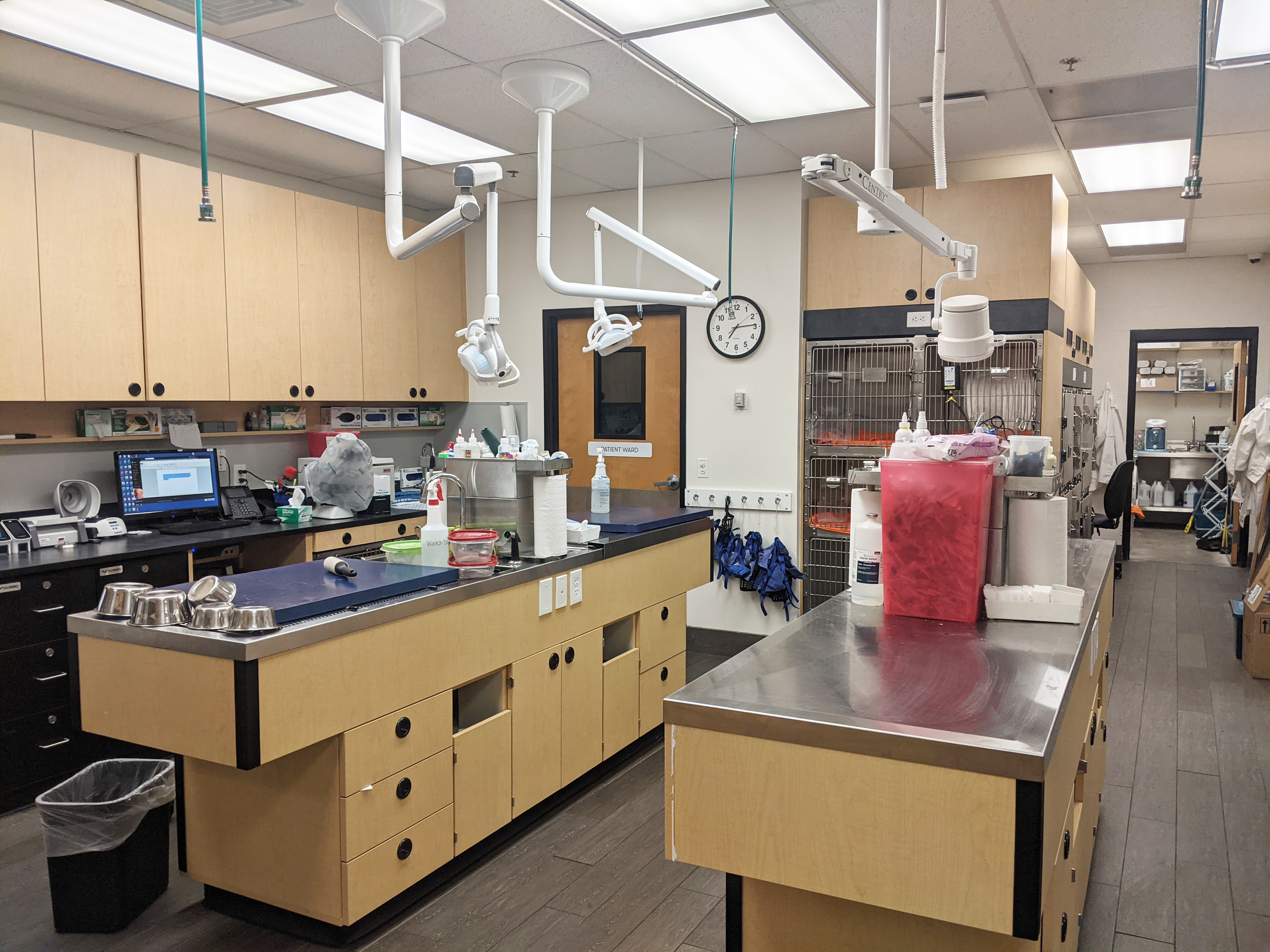 The Countryside Banfield exam and medical area