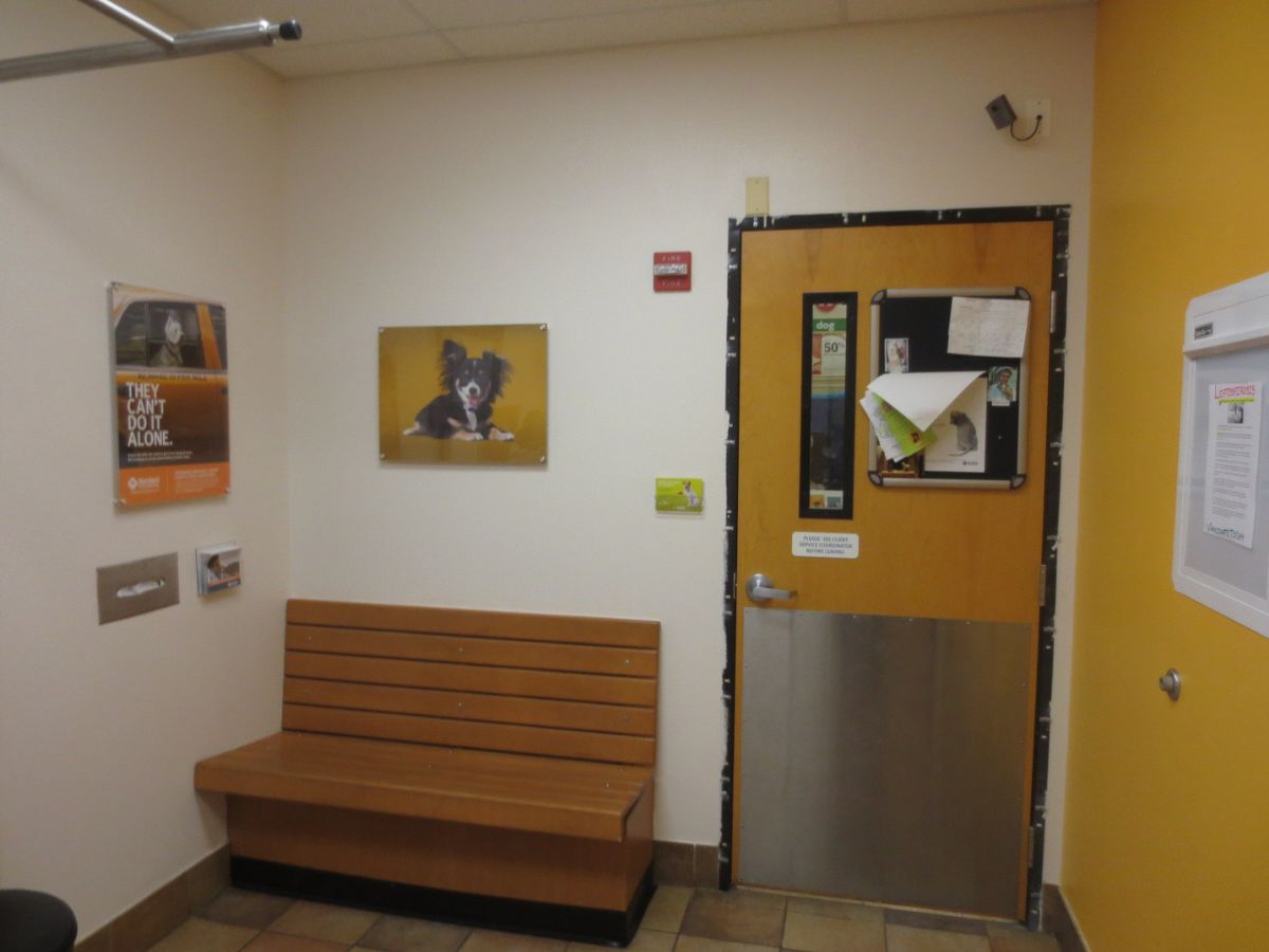 The Plainfield Naperville Banfield exam room and bench