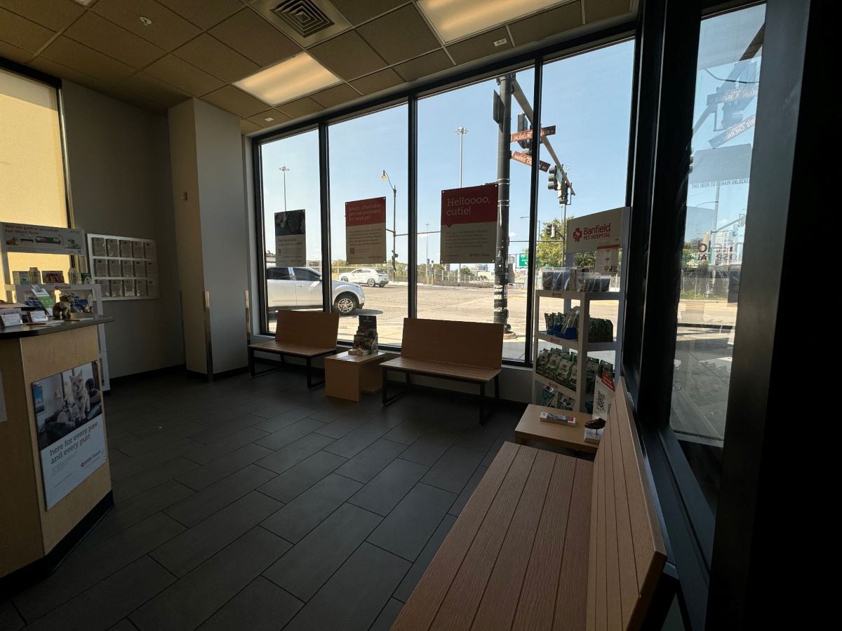 An alternate view of the Chicago South Loop Banfield hospital