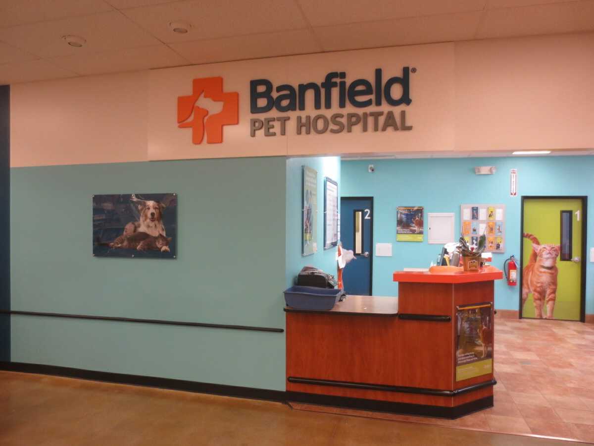 The Banfield - Bloomingdale hospital front desk and customer check-in