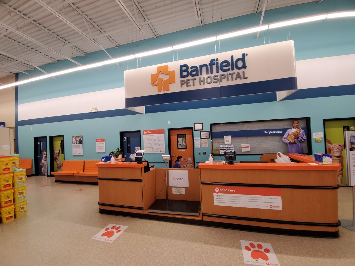 The Medina Banfield front desk and check-in area