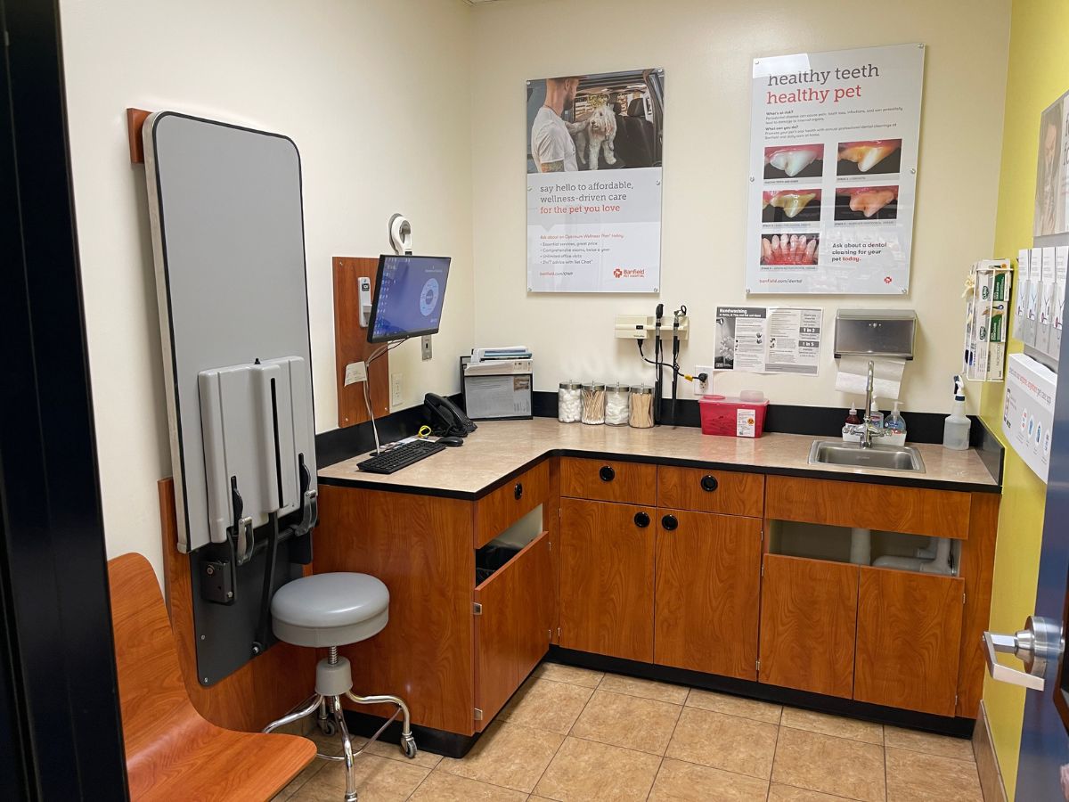 The Banfield Pet Hospital: Parma exam room with table