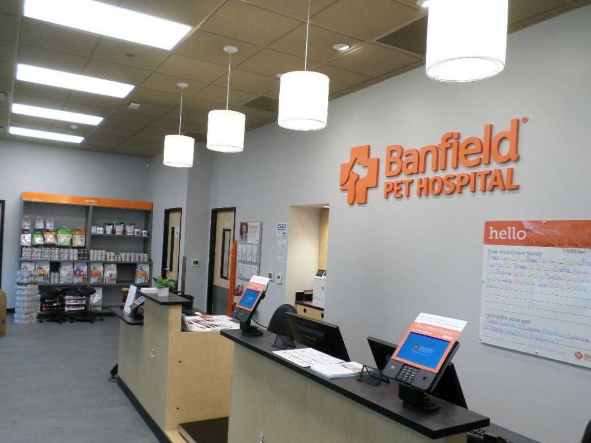 The Chicago Brickyard Banfield front desk and check-in area