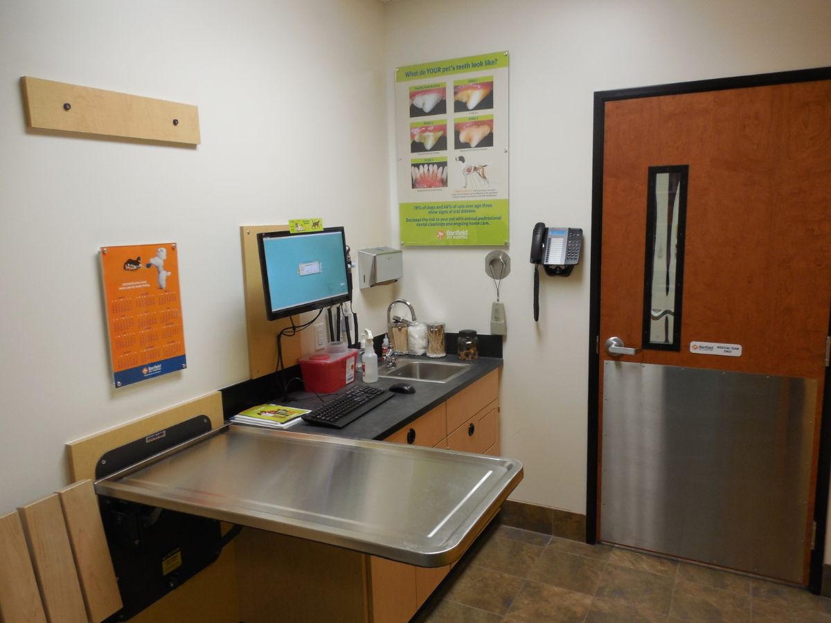 Another view of the Banfield - Ross Township exam room and folding table
