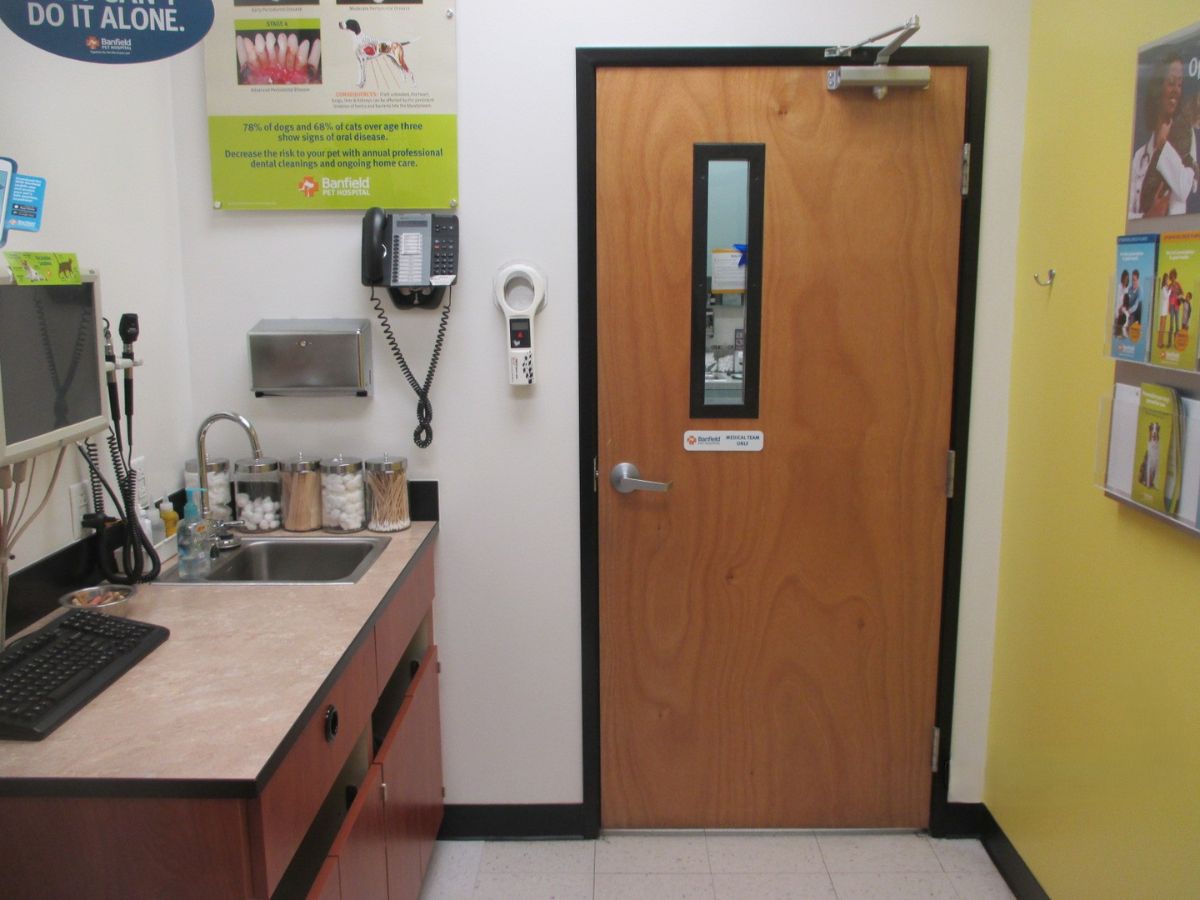 Inside the Banfield - Washington hospital exam room