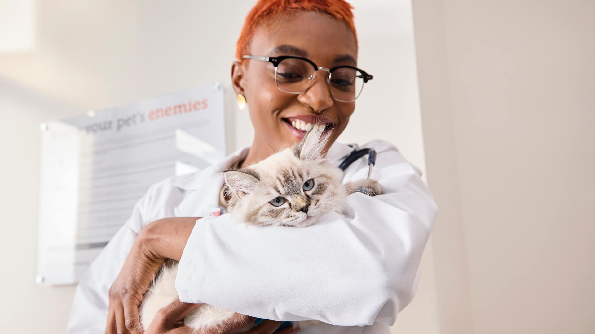 Kiera Kienle, DVM, holds a gray cat after an examination