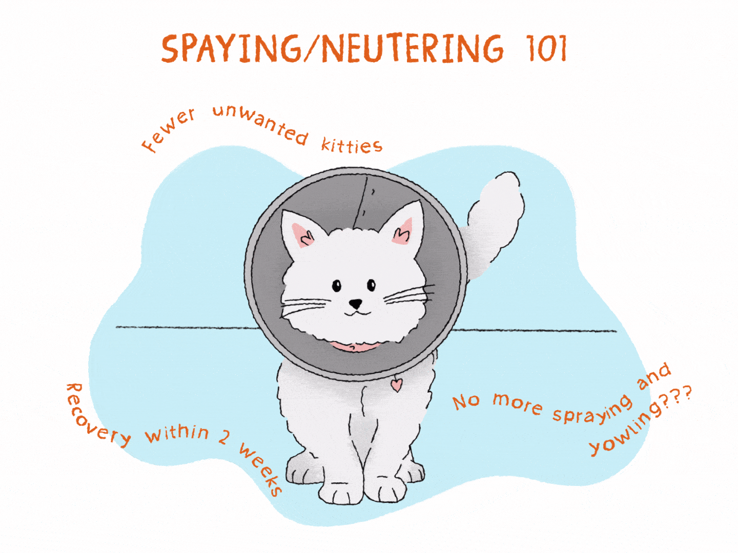 Illustration of a white cat wearing a post-surgery cone