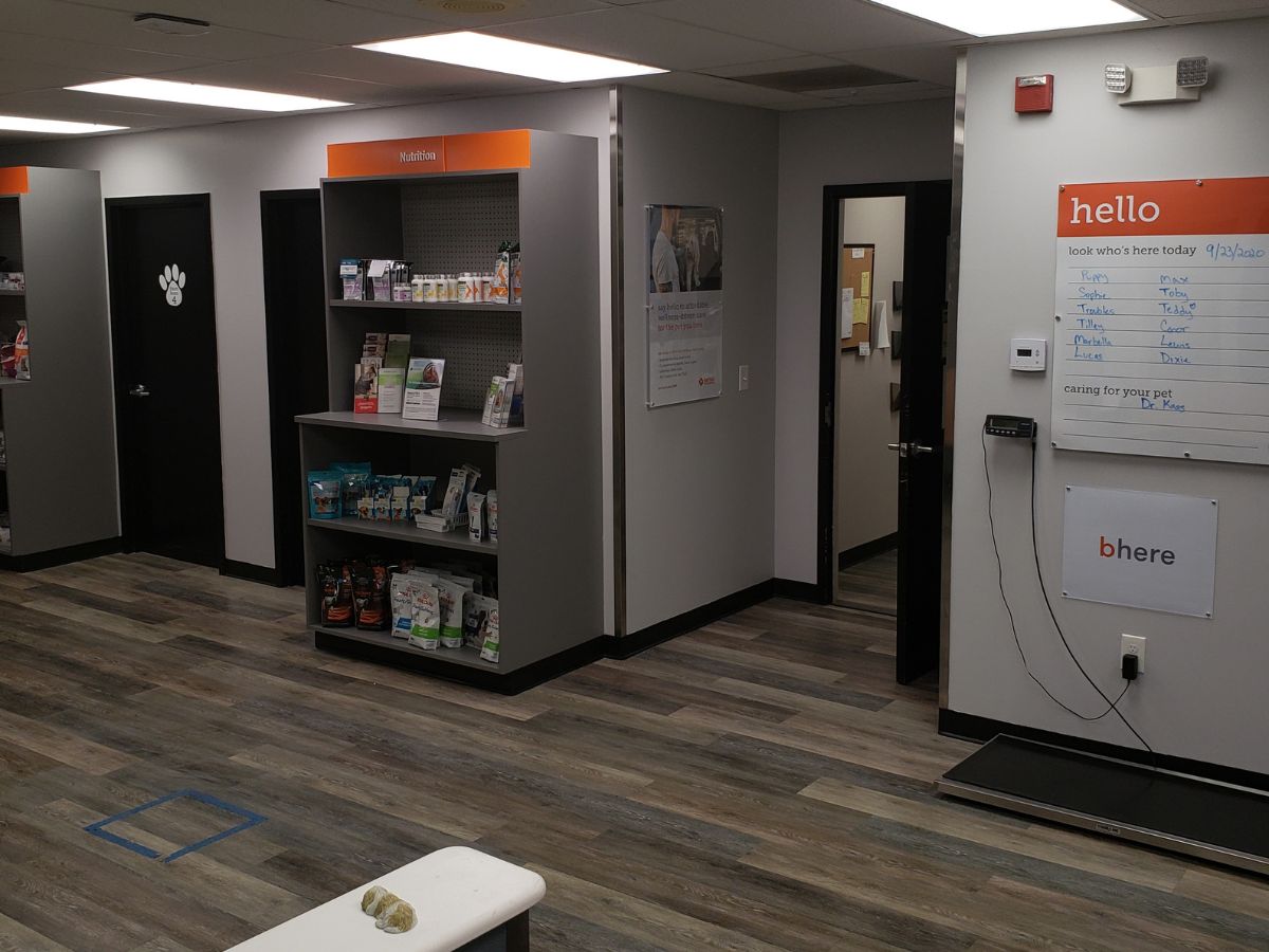 A view of the food and supplies and Banfield - Mercy